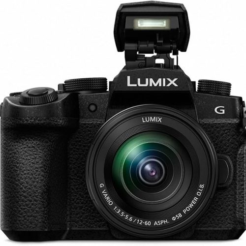 Panasonic Lumix G95