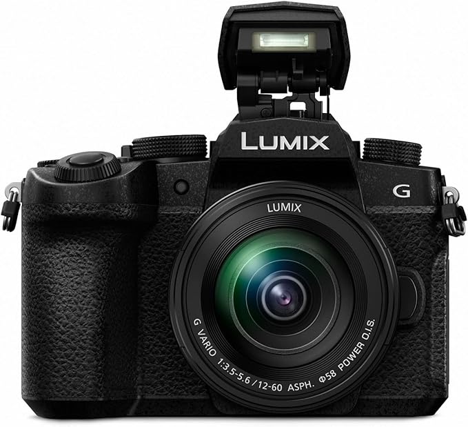 Panasonic Lumix G95